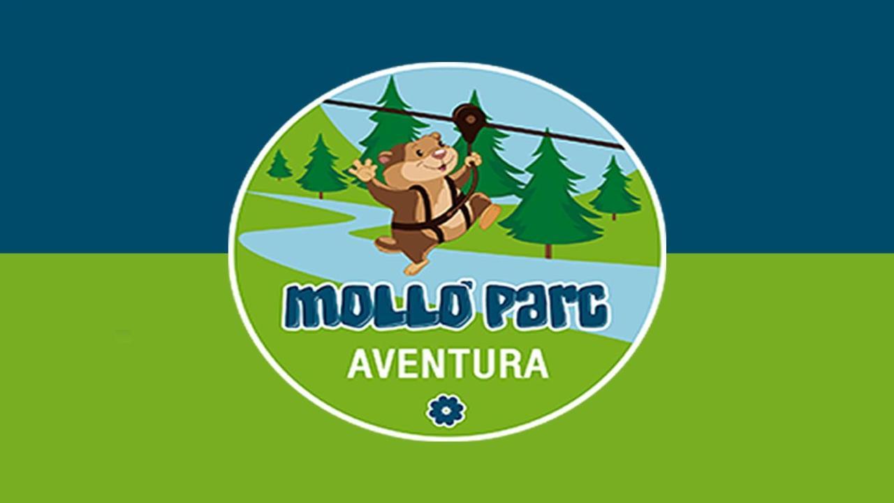 Llanars, En Vall De Camprodon Vistas Montana De Frente, Ascensor, Orientacion Sur, Chimenea, Wifi, Mollo Park, Vallter, Hipica, Golf 외부 사진